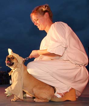 Pet Masquerade and Parade 2007 photo - Duval Street, Key West